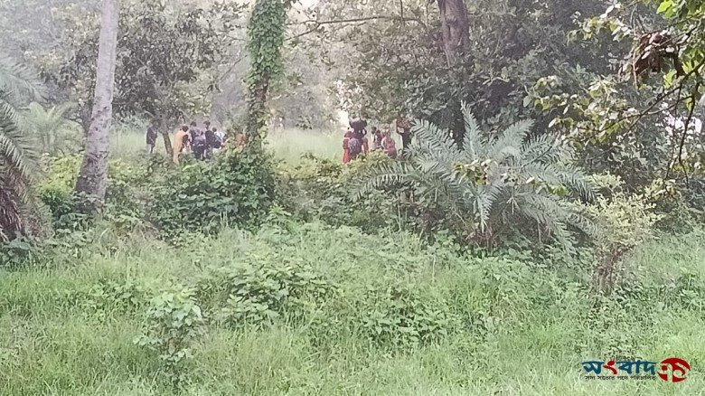চাঁপাইনবাবগঞ্জের বাঙ্গাবাড়ি সীমান্তে ২৮ জনকে ঠেলে পাঠানোর বি